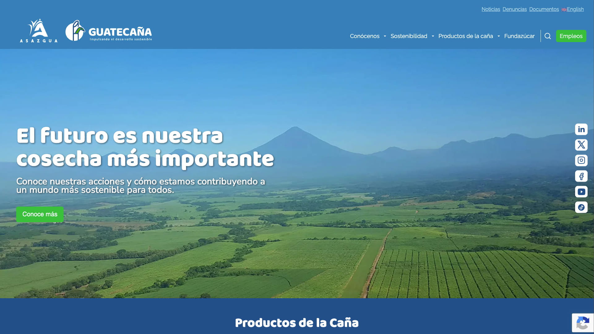 Captura del sitio Guatecaña